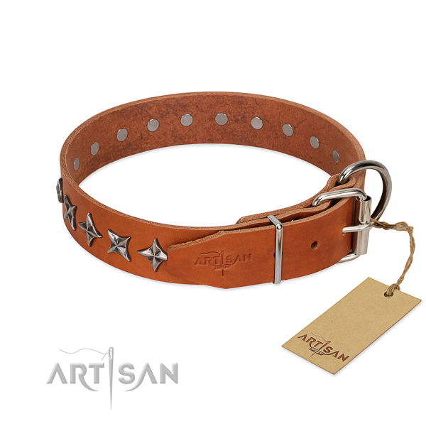 Stylish walking studded dog collar of quality genuine leather