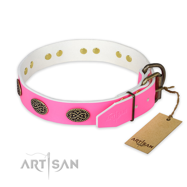 Corrosion proof fittings on walking dog collar