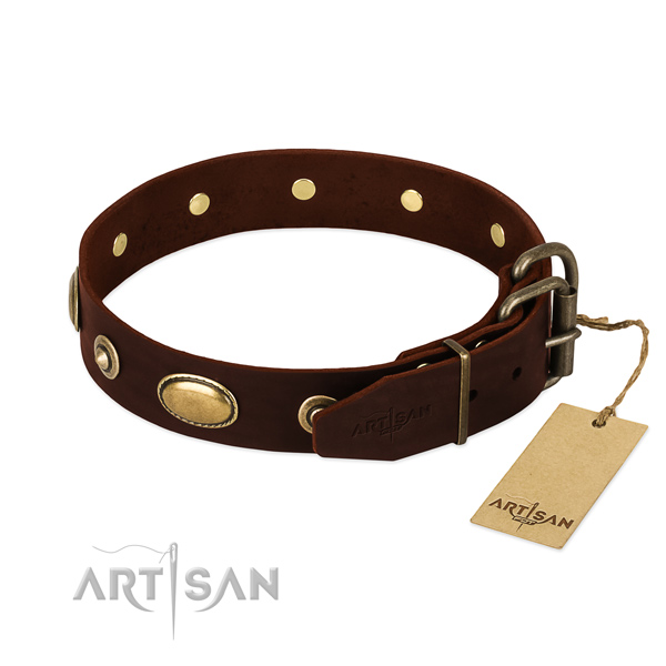 Durable decorations on natural leather dog collar for your canine