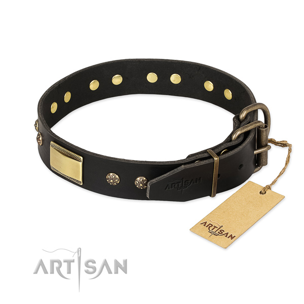 Full grain leather dog collar with reliable fittings and studs