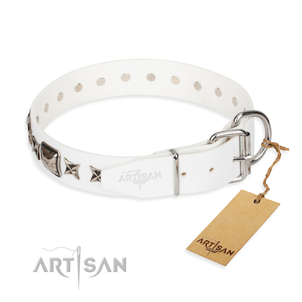 Reliable embellished dog collar of leather