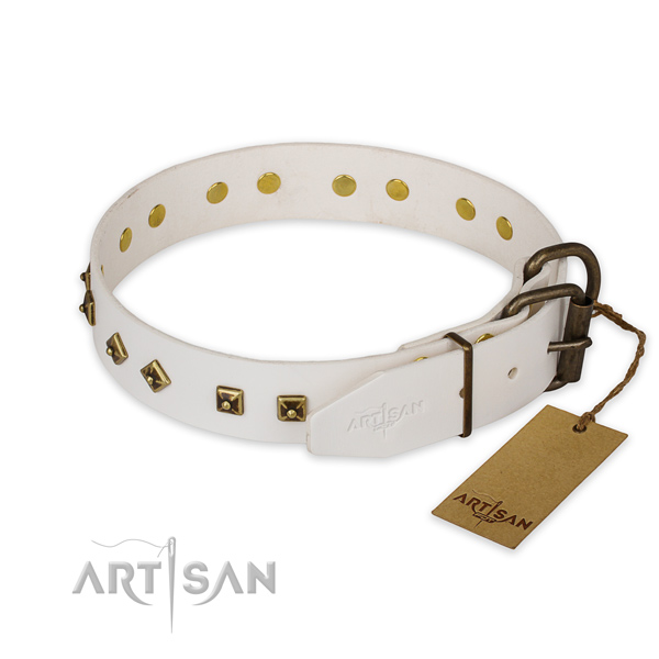 Strong traditional buckle on genuine leather collar for daily walking your dog