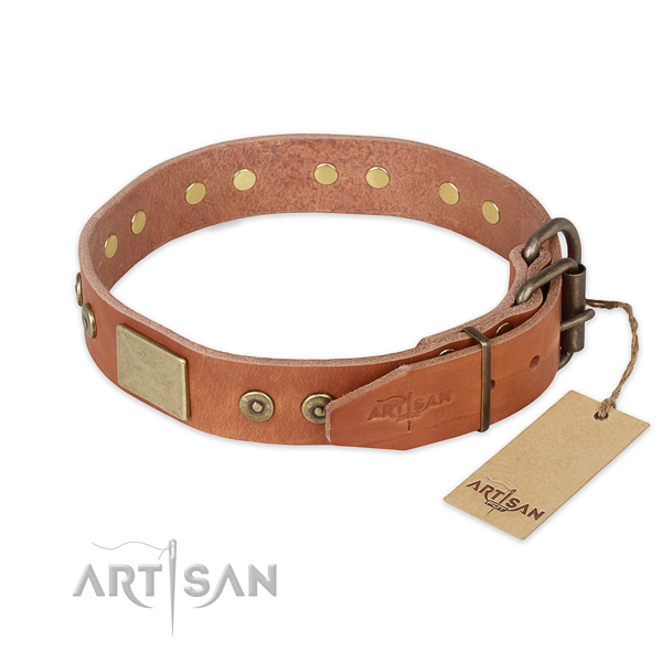 Corrosion proof fittings on genuine leather collar for stylish walking your dog