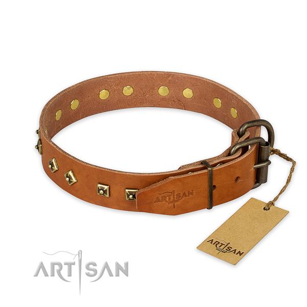 Corrosion proof traditional buckle on leather collar for daily walking your doggie