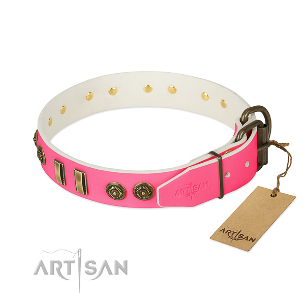 Corrosion proof hardware on leather dog collar for your canine