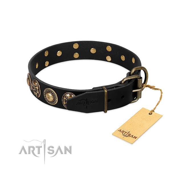 Strong traditional buckle on stylish walking dog collar