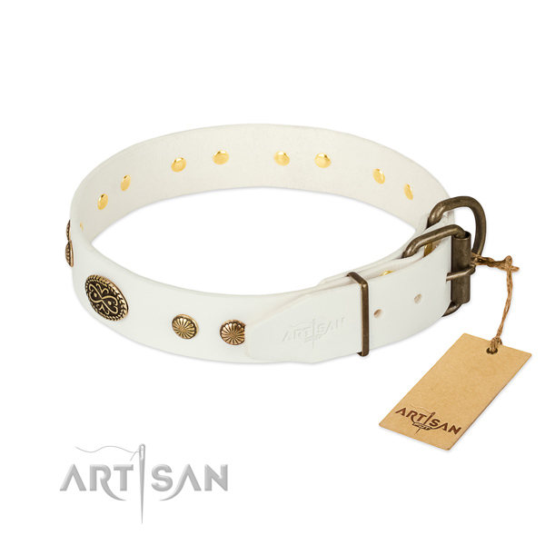 Rust resistant studs on full grain genuine leather dog collar for your canine