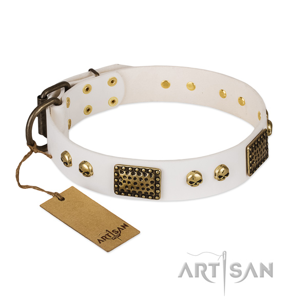 Corrosion proof buckle on daily walking dog collar