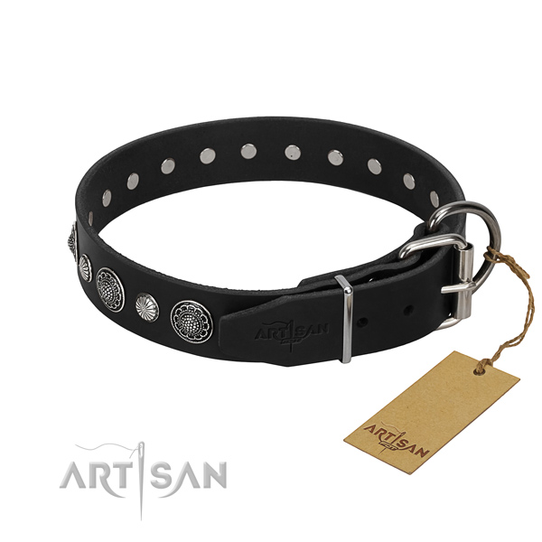 Durable leather dog collar with stylish studs