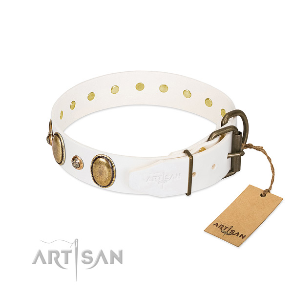 Everyday use full grain natural leather dog collar