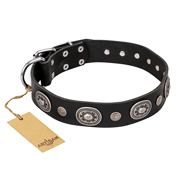 "Black Tie" FDT Artisan Leather English Bull Terrier Collar with Old Silver-like Decorations