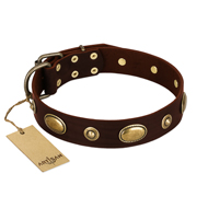 "Hebe's Jewel" FDT Artisan Brown Genuine Leather English Bull Terrier Collar