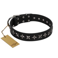 "Lights-out" FDT Artisan Black Leather English Bull Terrier Collar with Silver-like Set of Stars