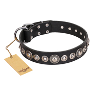 "Strict Elegance" FDT Artisan Black Leather English Bull Terrier Collar with Decorations