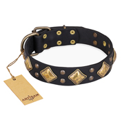 "Fancy-Schmancy" FDT Artisan Studded Leather English Bull Terrier Collar
