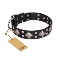 "Smart Geometry" FDT Artisan Studded Leather English Bull Terrier Collar