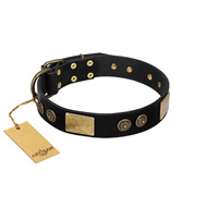"Chicci-Glam" FDT Artisan Black Leather English Bull Terrier Collar with Plates and Ornate Studs