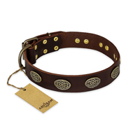 "Chocolate kiss" FDT Artisan Leather English Bull Terrier Collar with Old Bronze Look Oval Plates