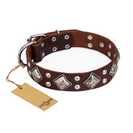 "King of Grace" FDT Artisan Stylish Leather English Bull Terrier Collar with Old Silver-Like Plated Decorations