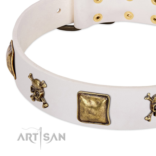 Extraordinary leather dog collar with durable studs