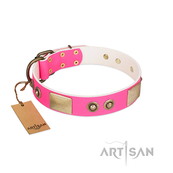 Corrosion resistant adornments on full grain genuine leather dog collar for your pet