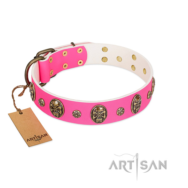 Exceptional full grain genuine leather dog collar for fancy walking