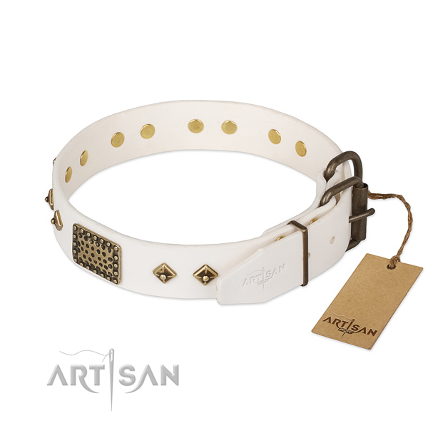 Genuine leather dog collar with strong hardware and adornments