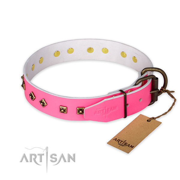 Corrosion proof traditional buckle on natural leather collar for fancy walking your pet