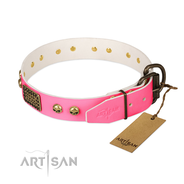 Durable hardware on everyday use dog collar