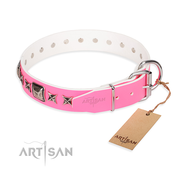 Top quality studded dog collar of leather