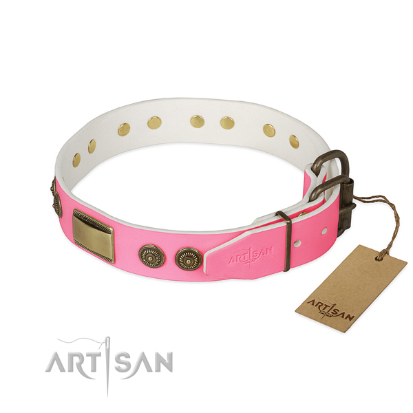 Corrosion proof buckle on daily use dog collar
