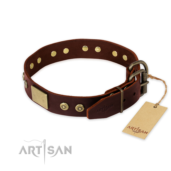 Corrosion proof buckle on daily use dog collar