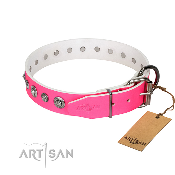 Finest quality full grain natural leather dog collar with unusual embellishments