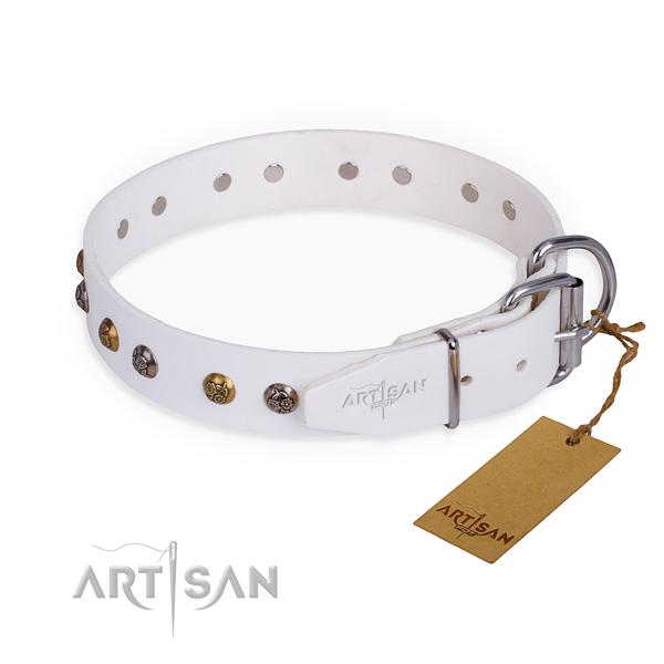 Natural leather dog collar with remarkable strong studs