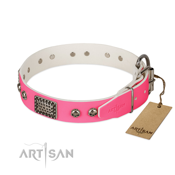 Corrosion proof adornments on daily use dog collar