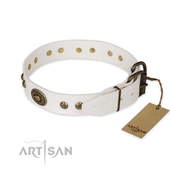 Rust resistant buckle on full grain natural leather collar for walking your doggie