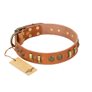 "Natural Beauty" FDT Artisan Tan Leather English Bull Terrier Collar with Old Bronze-like Circles and Plates