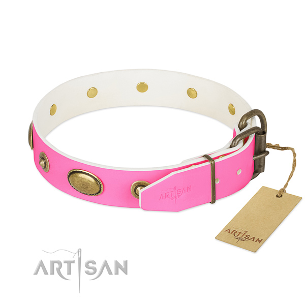 Corrosion proof adornments on full grain leather dog collar for your dog