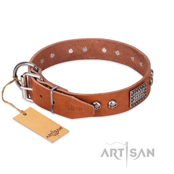 Reliable traditional buckle on stylish walking dog collar