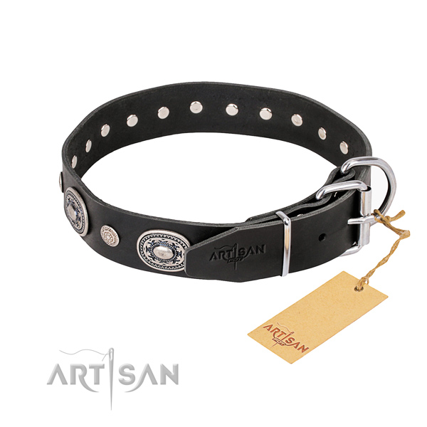 High quality genuine leather dog collar handmade for everyday use