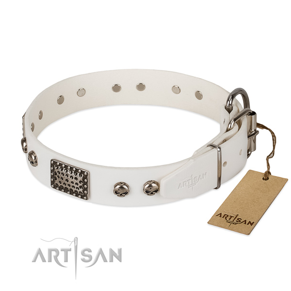Rust resistant traditional buckle on daily walking dog collar