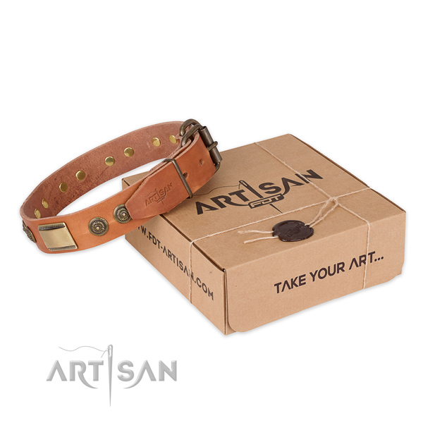 Rust-proof buckle on full grain natural leather dog collar for basic training