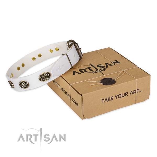 Durable traditional buckle on leather dog collar for everyday use