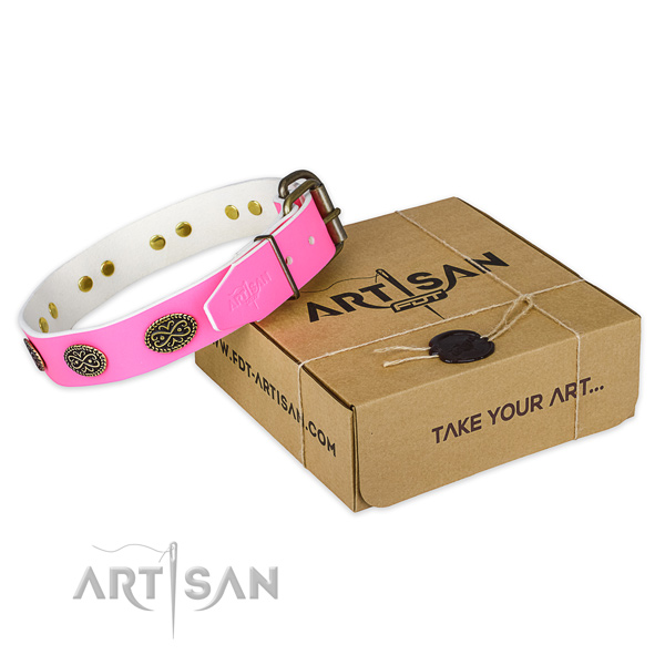 Studded full grain genuine leather dog collar for stylish walking