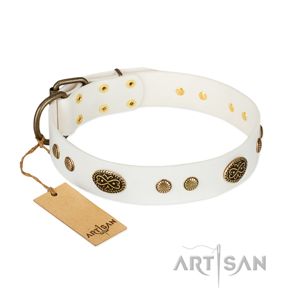 Reliable studs on full grain natural leather dog collar for your pet