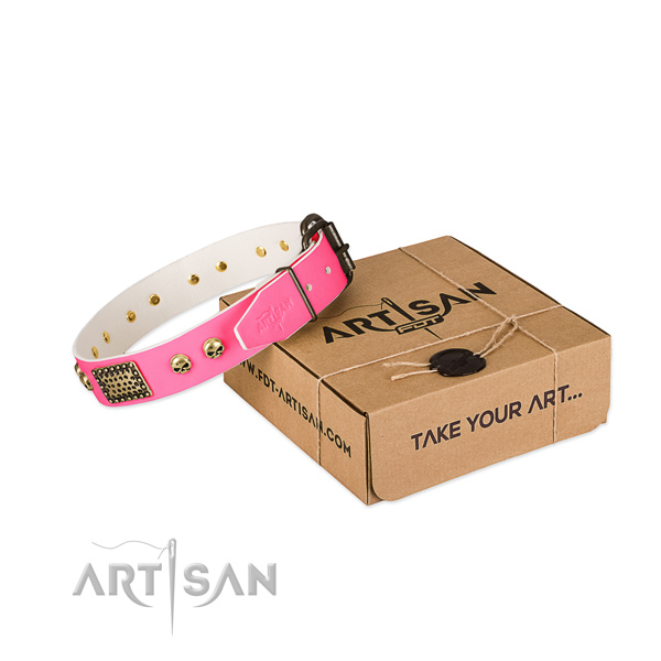 Rust resistant studs on dog collar for stylish walking