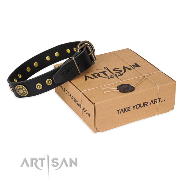 Full grain natural leather dog collar made of top notch material with rust-proof hardware