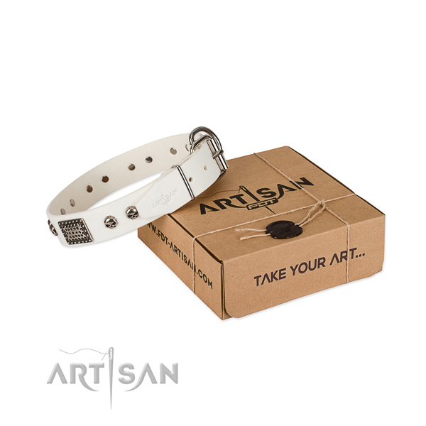 Strong buckle on dog collar for daily walking