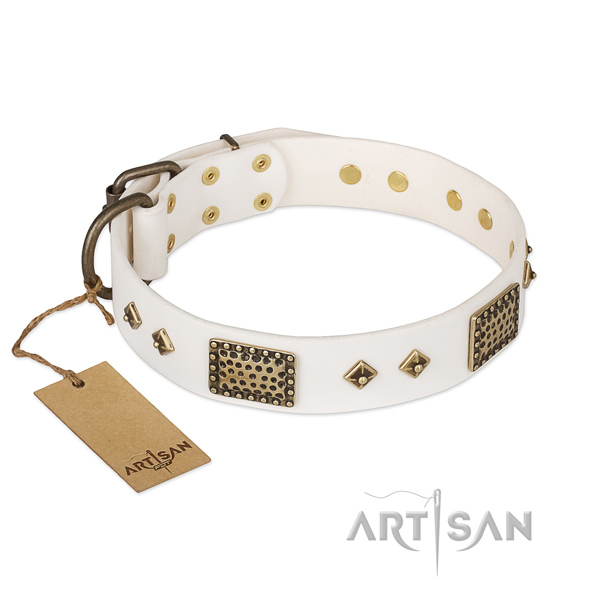 Stunning full grain leather dog collar for handy use