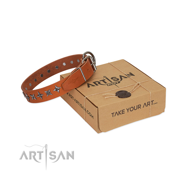 Everyday use dog collar of high quality natural leather with adornments